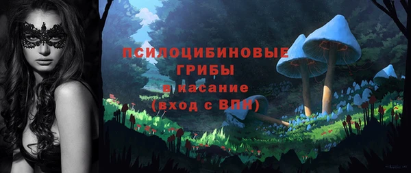 mdpv Ельня
