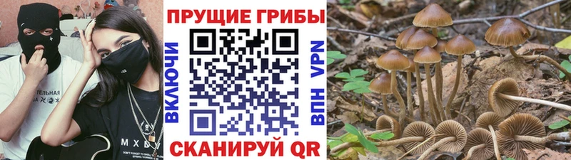 наркошоп  Рязань  Псилоцибиновые грибы прущие грибы 